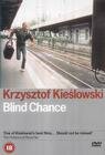 Blind Chance (1920) постер